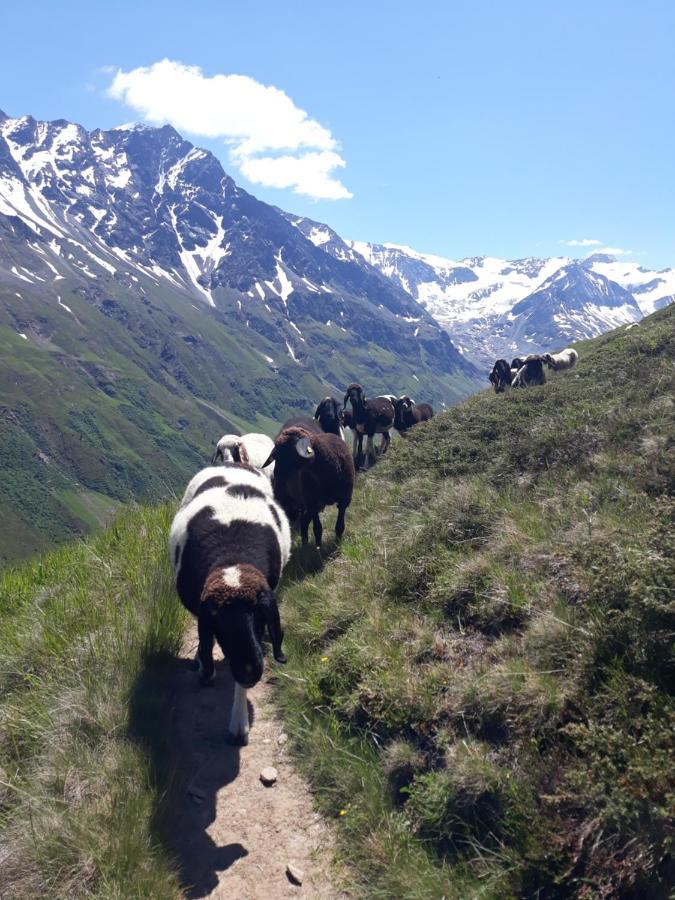 Appartement Berg-Juwel à Sankt Leonhard im Pitztal Extérieur photo